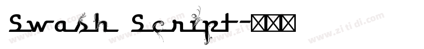 Swash Script字体转换 Swash Script字体转换